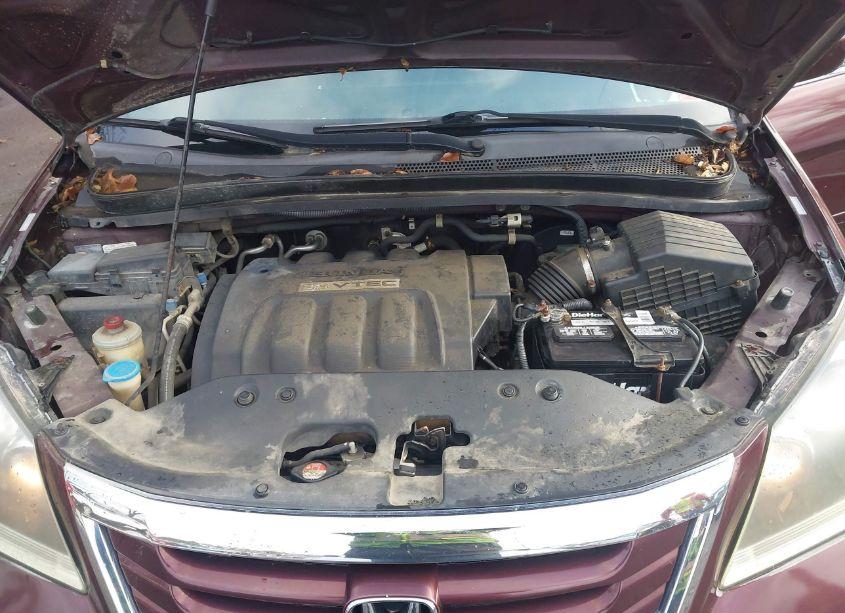 Photo 10 of 2008 Honda Odyssey EX (VIN 5FNRL38438B024362)