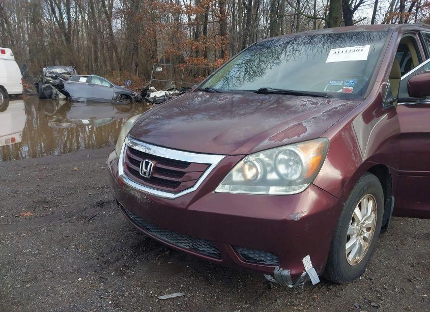 Photo 6 of 2008 Honda Odyssey EX (VIN 5FNRL38438B024362)