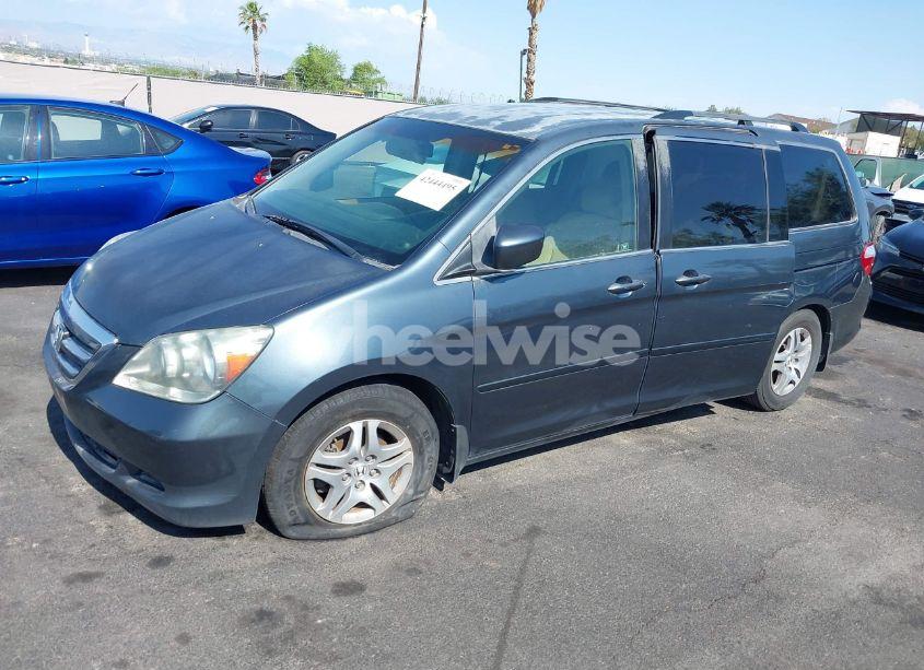Photo 13 of 2005 Honda Odyssey EX (VIN 5FNRL38445B401096)
