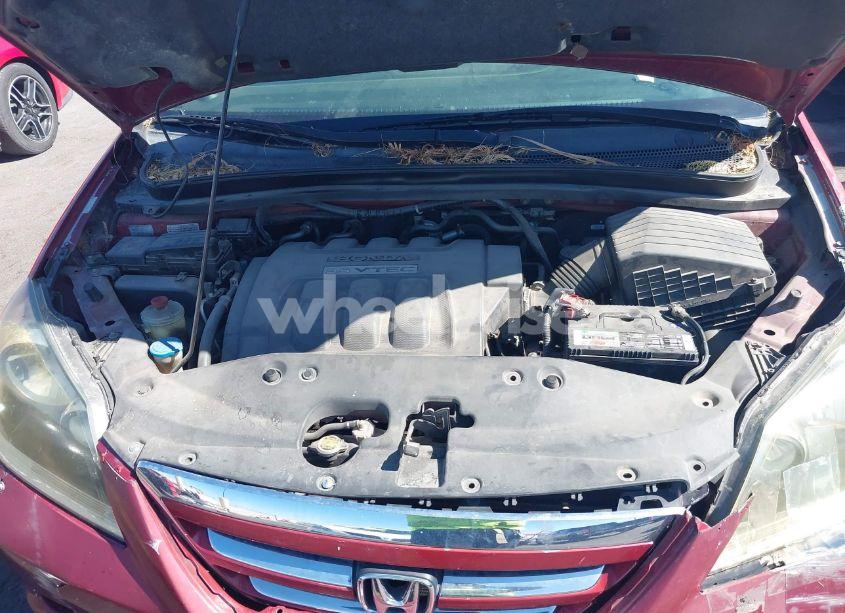 Photo 10 of 2005 Honda Odyssey EX (VIN 5FNRL38445B401163)