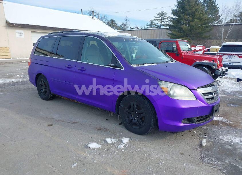 2007 Honda Odyssey EX (VIN 5FNRL38447B108222) main photo