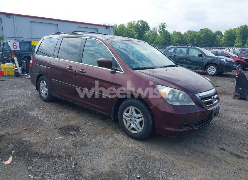 2007 Honda Odyssey EX (VIN 5FNRL38447B118071) main photo