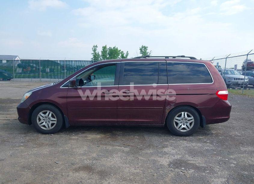 Photo 14 of 2007 Honda Odyssey EX (VIN 5FNRL38447B118071)