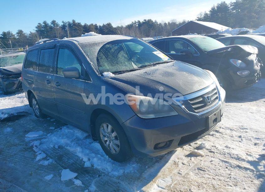 2009 Honda Odyssey EX (VIN 5FNRL38449B032181) main photo