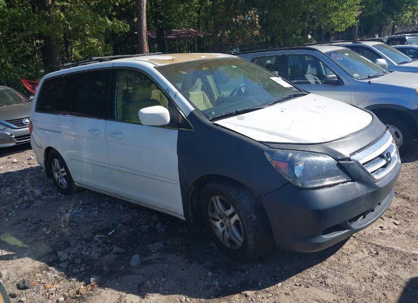 2005 Honda Odyssey EX (VIN 5FNRL38455B002858) main photo