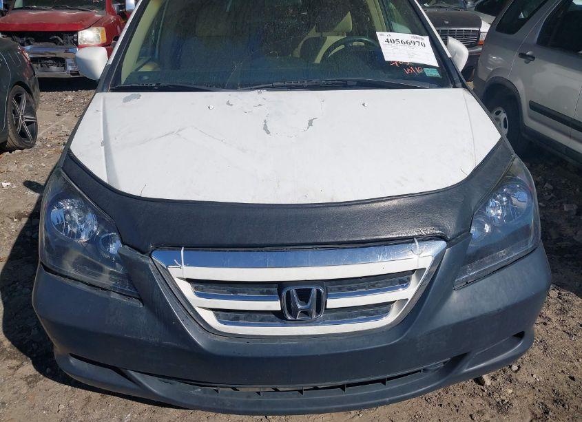 Photo 6 of 2005 Honda Odyssey EX (VIN 5FNRL38455B002858)