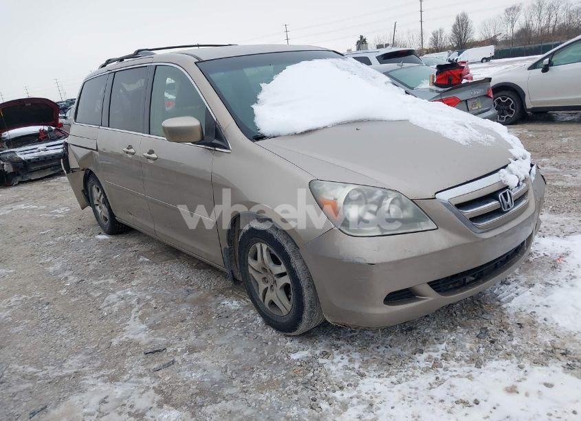 2005 Honda Odyssey EX (VIN 5FNRL38455B403116) main photo