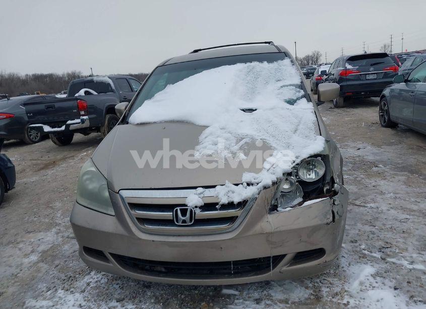 Photo 12 of 2005 Honda Odyssey EX (VIN 5FNRL38455B403116)