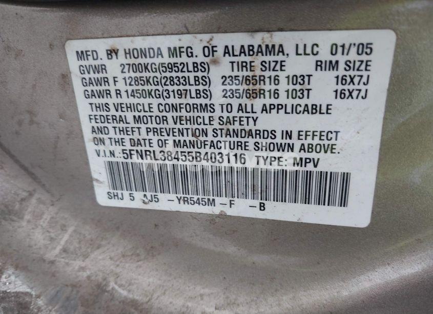 Photo 9 of 2005 Honda Odyssey EX (VIN 5FNRL38455B403116)