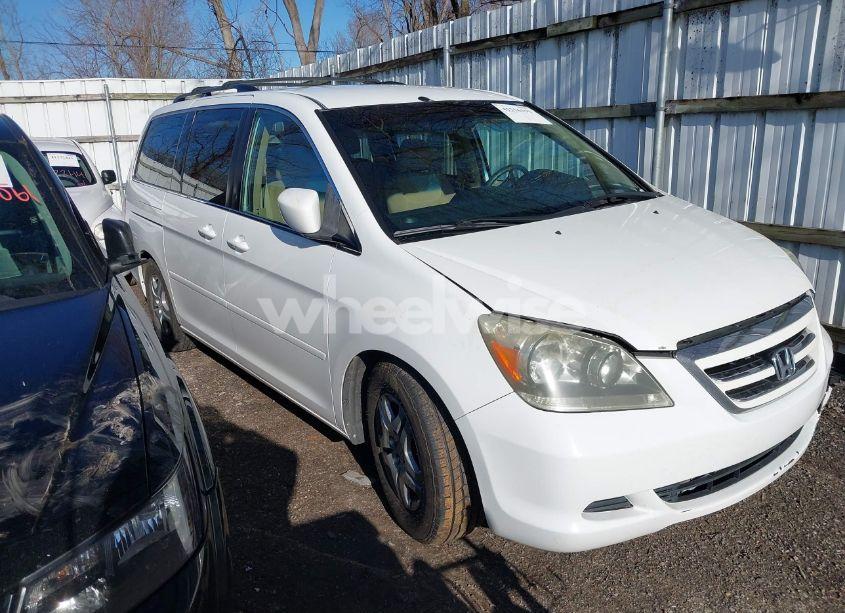 2007 Honda Odyssey EX (VIN 5FNRL38457B098686) main photo