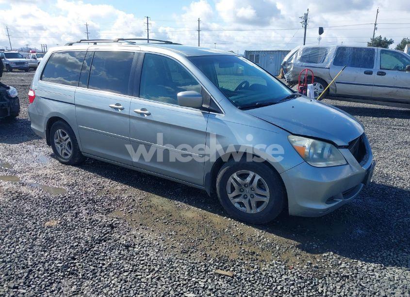 2007 Honda Odyssey EX (VIN 5FNRL38457B141956) main photo