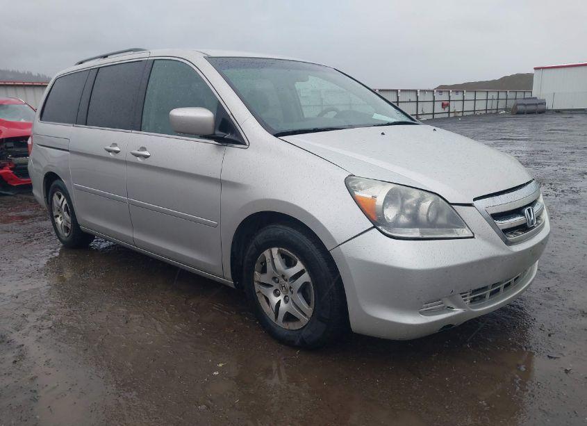 2007 Honda Odyssey EX (VIN 5FNRL38457B405225) main photo