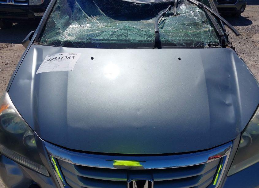 Photo 10 of 2008 Honda Odyssey EX (VIN 5FNRL38458B041132)