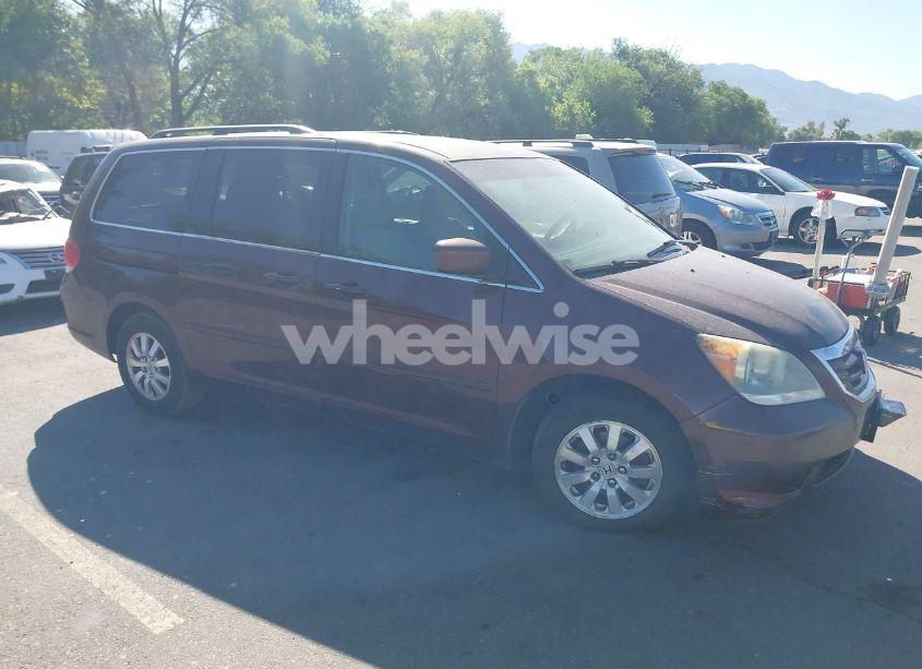 2008 Honda Odyssey EX (VIN 5FNRL38458B097457) main photo