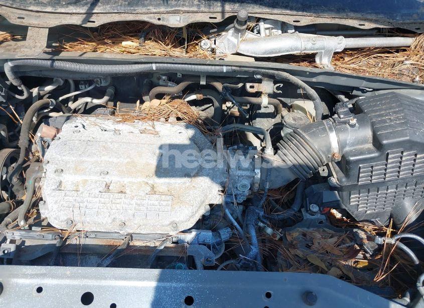 Photo 10 of 2009 Honda Odyssey EX (VIN 5FNRL38459B012330)