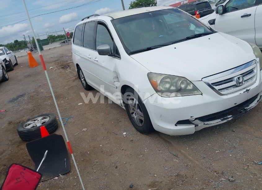 2007 Honda Odyssey EX (VIN 5FNRL38467B015508) main photo