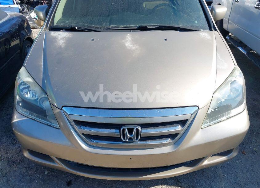 Photo 6 of 2007 Honda Odyssey EX (VIN 5FNRL38467B016917)