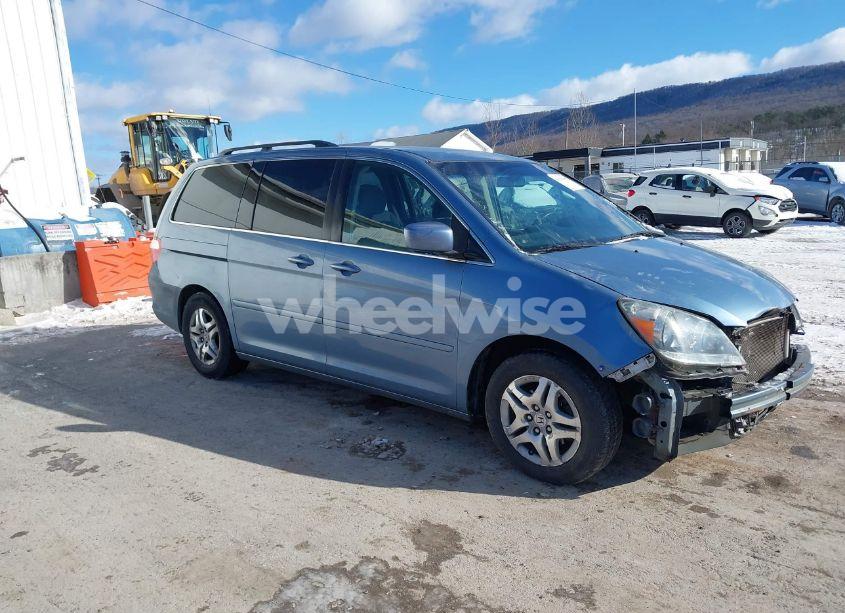 2007 Honda Odyssey EX (VIN 5FNRL38467B106469) main photo