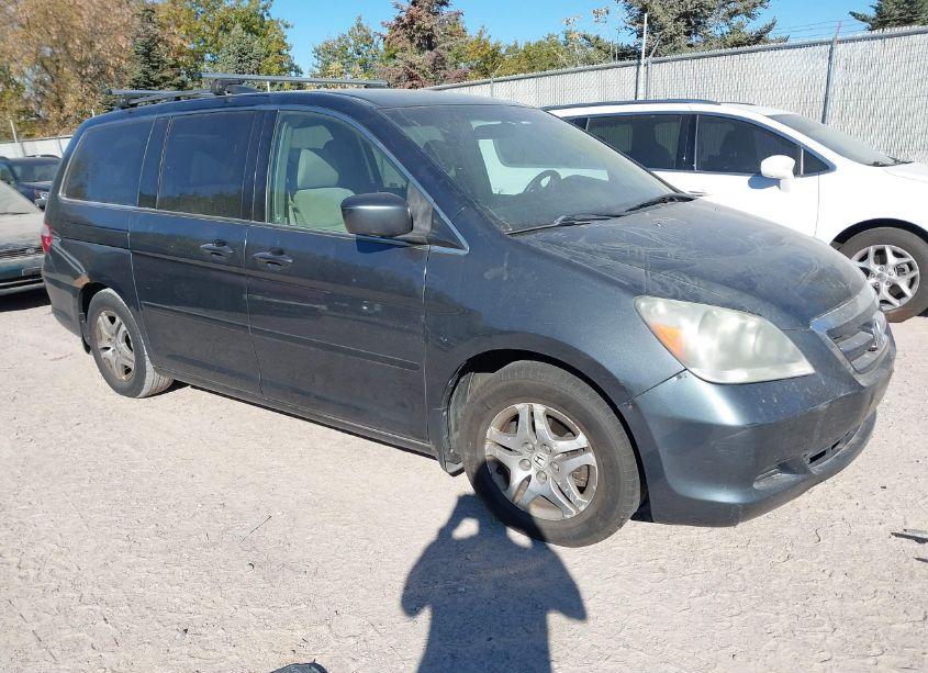 2005 Honda Odyssey EX (VIN 5FNRL38475B402470) main photo