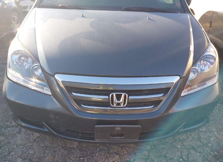 Photo 6 of 2005 Honda Odyssey EX (VIN 5FNRL38475B412190)