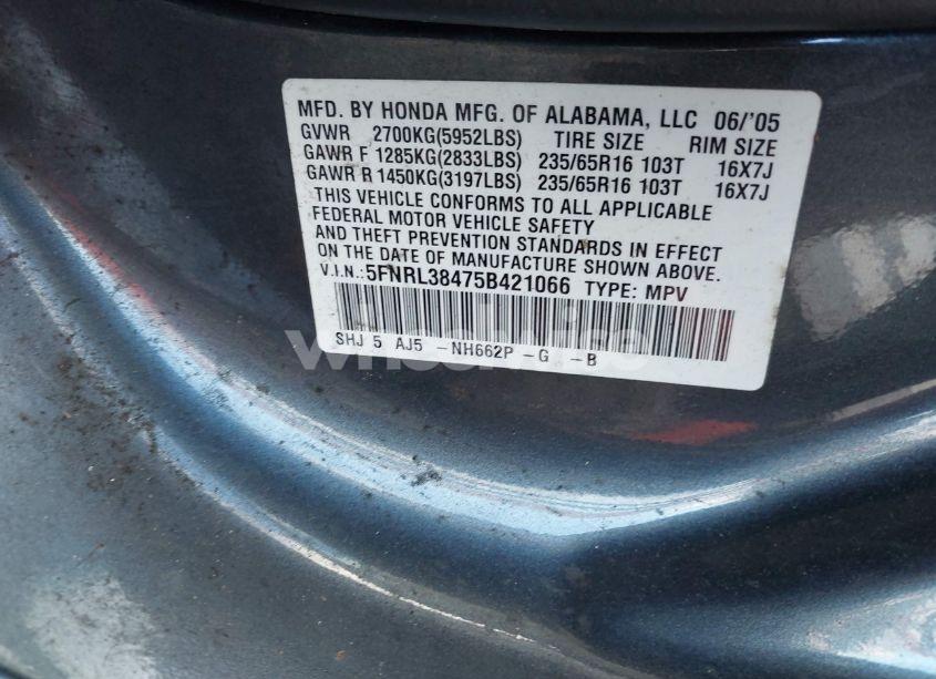 Photo 9 of 2005 Honda Odyssey EX (VIN 5FNRL38475B421066)