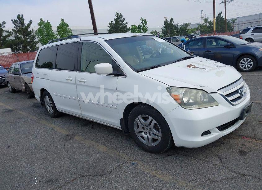 2006 Honda Odyssey EX (VIN 5FNRL38476B405256) main photo