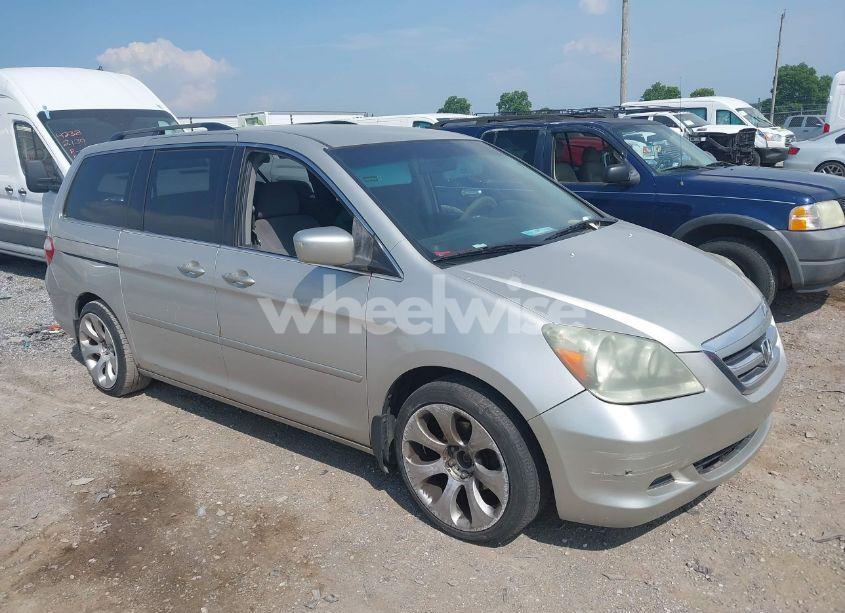 2006 Honda Odyssey EX (VIN 5FNRL38486B411499) main photo