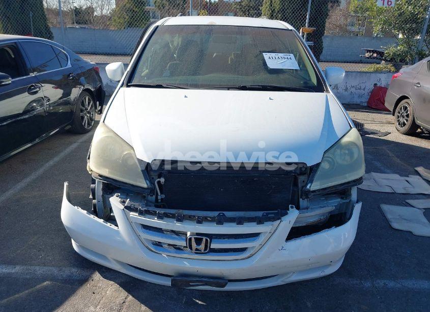 Photo 13 of 2006 Honda Odyssey EX (VIN 5FNRL38486B455616)