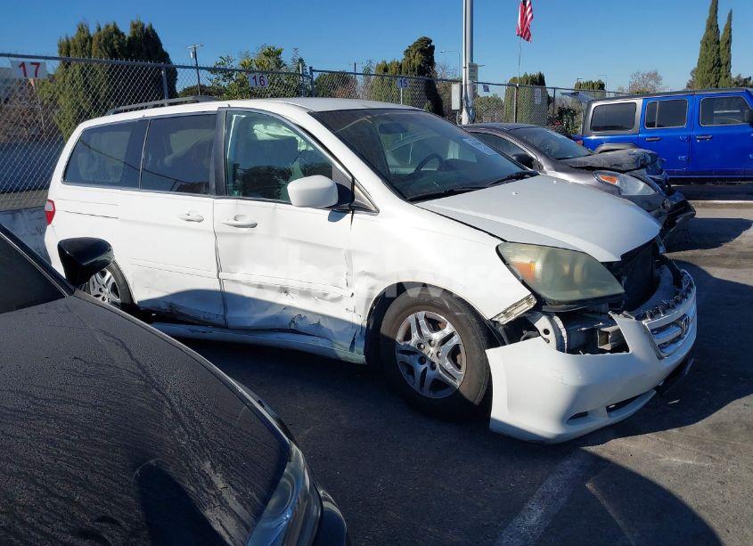 Photo 14 of 2006 Honda Odyssey EX (VIN 5FNRL38486B455616)