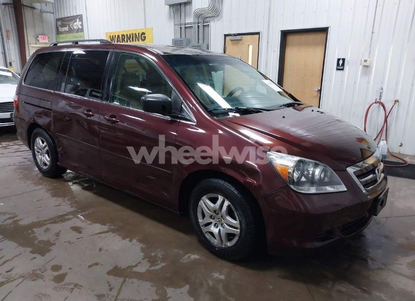 2007 Honda Odyssey EX (VIN 5FNRL38487B442141) main photo