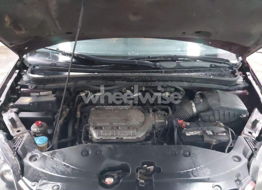 Photo 10 of 2007 Honda Odyssey EX (VIN 5FNRL38487B442141)