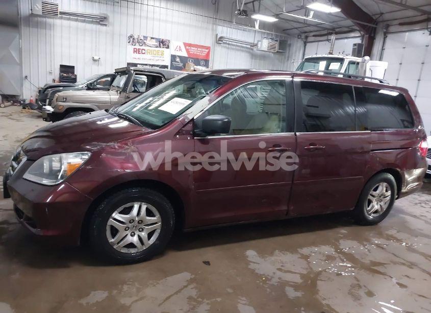 Photo 14 of 2007 Honda Odyssey EX (VIN 5FNRL38487B442141)