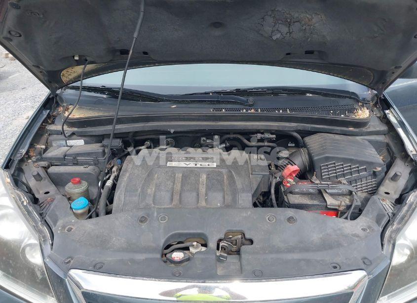 Photo 10 of 2005 Honda Odyssey EX (VIN 5FNRL38495B004614)