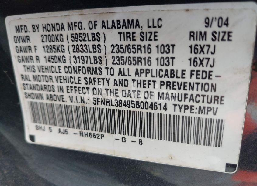 Photo 9 of 2005 Honda Odyssey EX (VIN 5FNRL38495B004614)