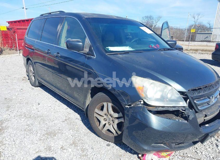 2005 Honda Odyssey EX (VIN 5FNRL38495B116412) main photo