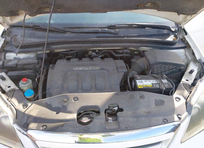 Photo 10 of 2005 Honda Odyssey EX (VIN 5FNRL38495B418167)