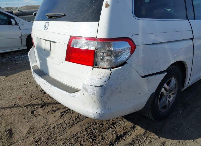 Photo 6 of 2005 Honda Odyssey EX (VIN 5FNRL38495B418167)