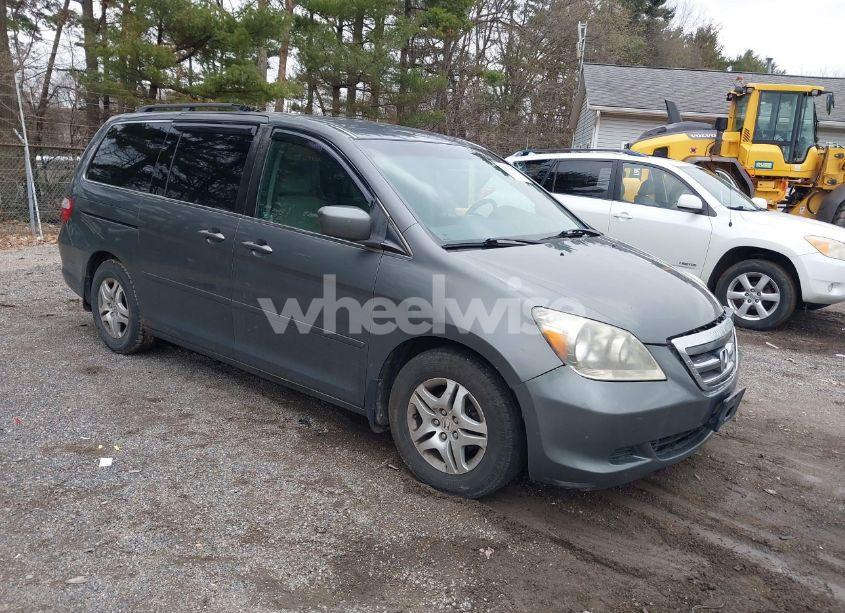 2007 Honda Odyssey EX (VIN 5FNRL38497B133004) main photo