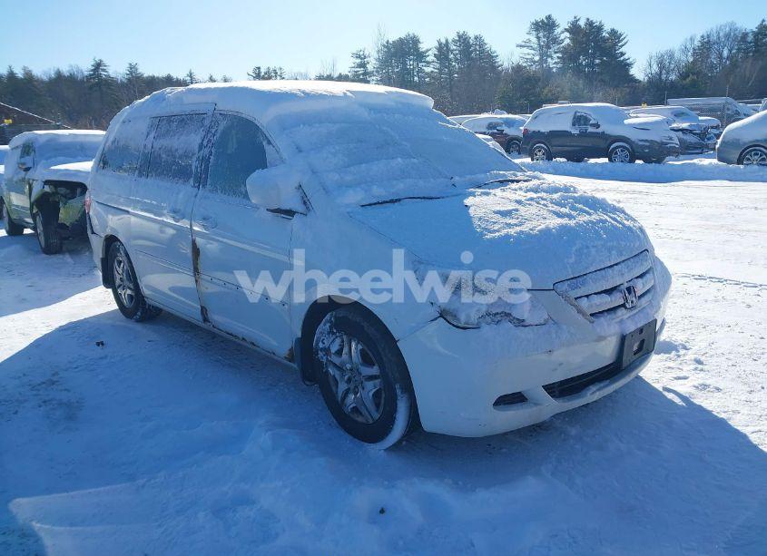 2007 Honda Odyssey EX (VIN 5FNRL38497B449258) main photo