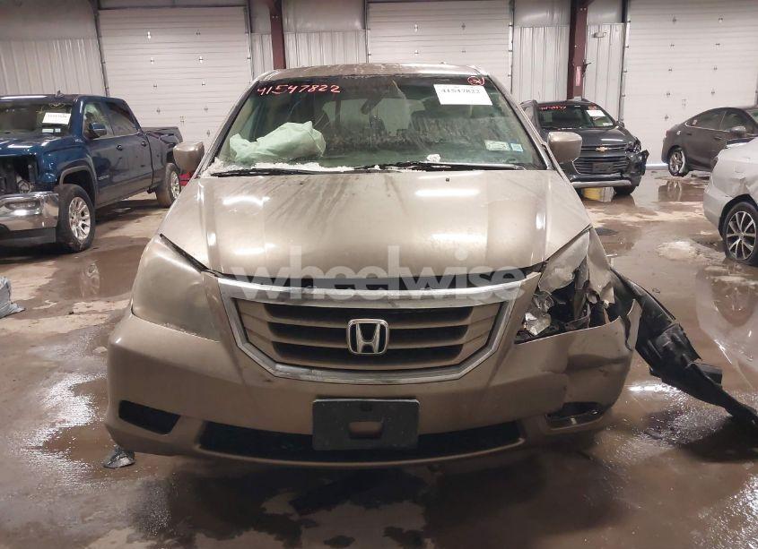 Photo 12 of 2008 Honda Odyssey EX (VIN 5FNRL38498B062906)