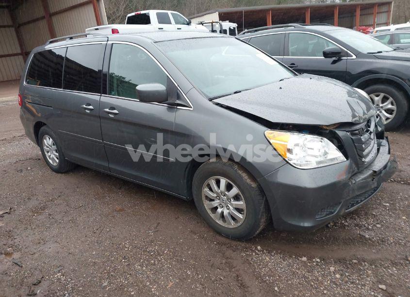 2008 Honda Odyssey EX (VIN 5FNRL38498B081259) main photo