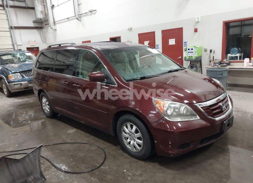 2009 Honda Odyssey EX (VIN 5FNRL38499B012606) main photo