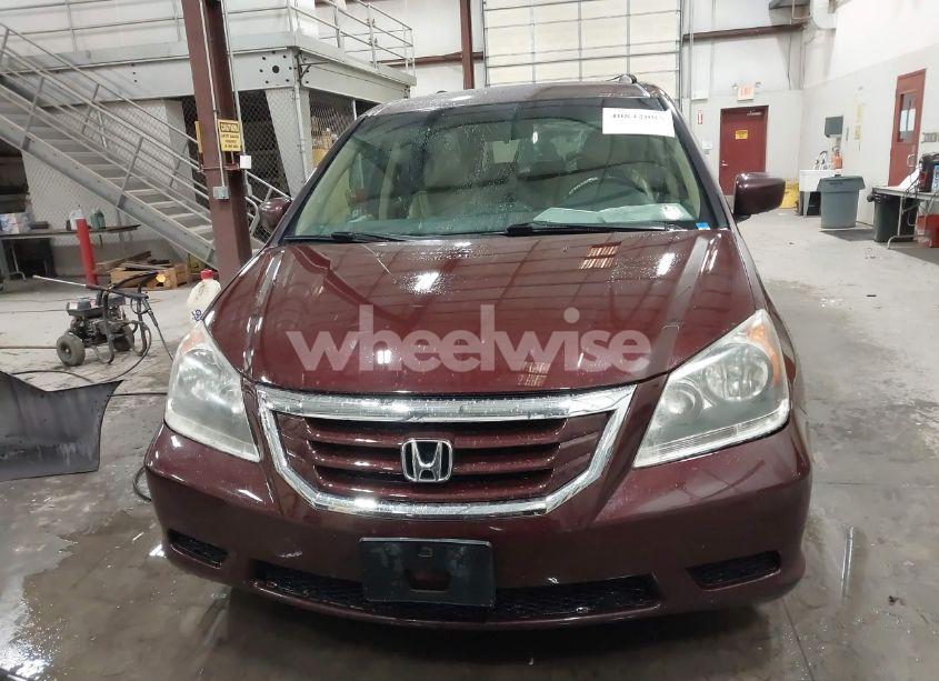 Photo 13 of 2009 Honda Odyssey EX (VIN 5FNRL38499B012606)
