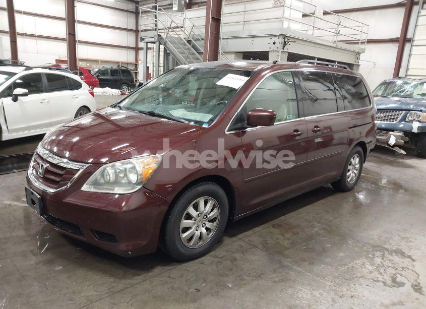 Photo 2 of 2009 Honda Odyssey EX (VIN 5FNRL38499B012606)