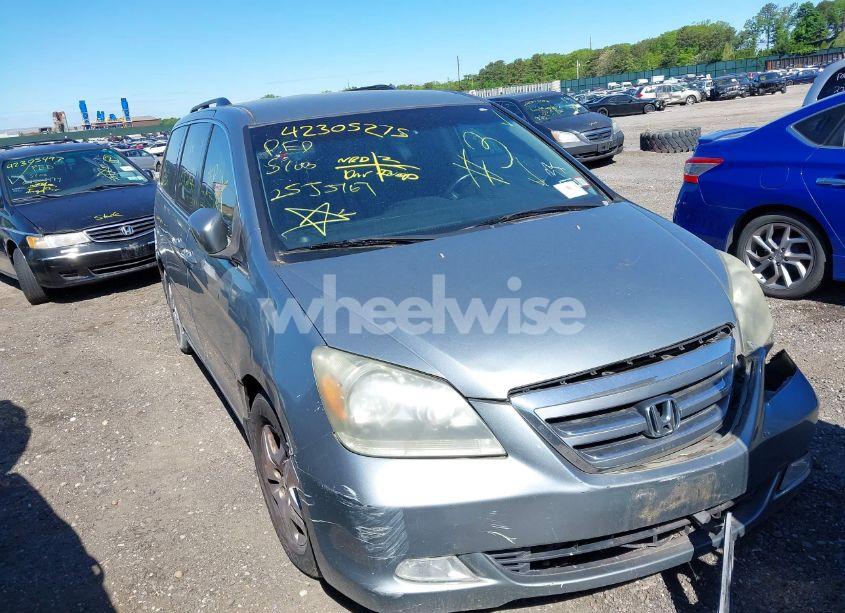 2005 Honda Odyssey EX (VIN 5FNRL384X5B052445) main photo