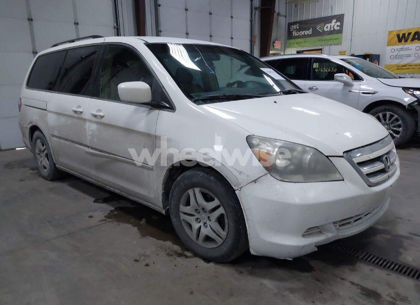 2005 Honda Odyssey EX (VIN 5FNRL384X5B419795) main photo