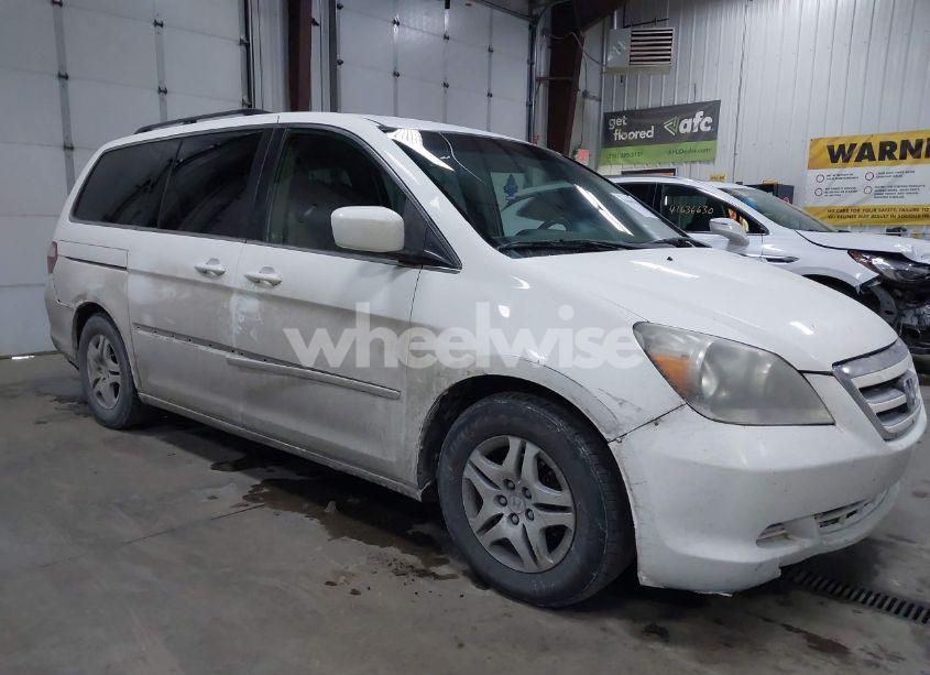 Photo 6 of 2005 Honda Odyssey EX (VIN 5FNRL384X5B419795)