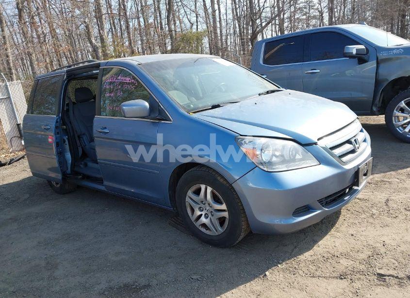 2007 Honda Odyssey EX (VIN 5FNRL384X7B049838) main photo