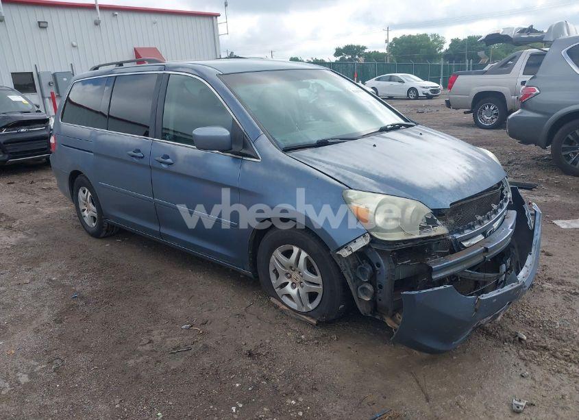 2007 Honda Odyssey EX (VIN 5FNRL384X7B063481) main photo
