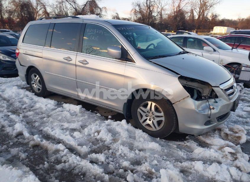 2007 Honda Odyssey EX (VIN 5FNRL384X7B411649) main photo
